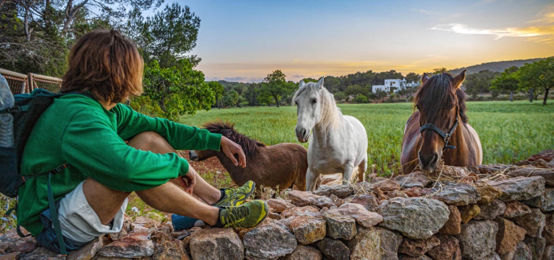 Gran Ruta - longest trail in Ibiza