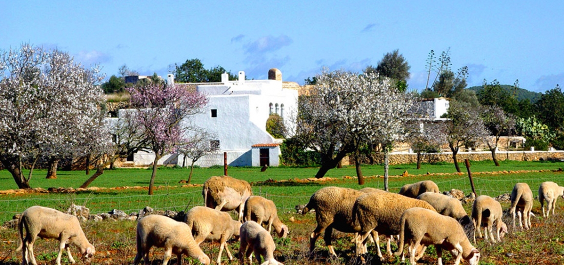 Cultural route around Santa Eulalia