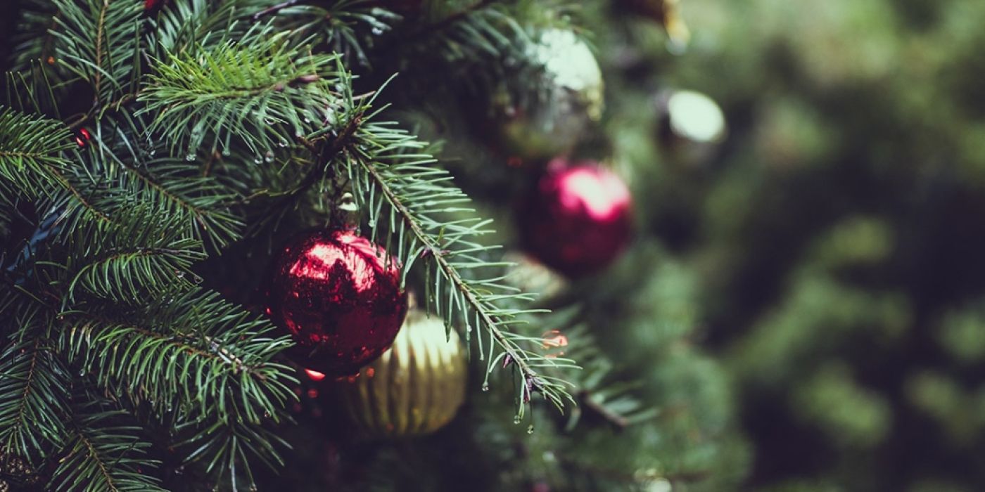 ¿Cómo se celebra la Navidad en Ibiza?